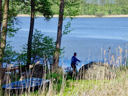 Feriesenter - 5 personer -  - Seestraße - 17194 - Ulrichshusen