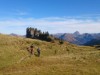 Bild 15