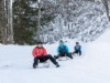 Bild 36