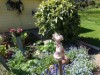 Bilde 5