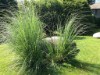 Image 14 - Outside