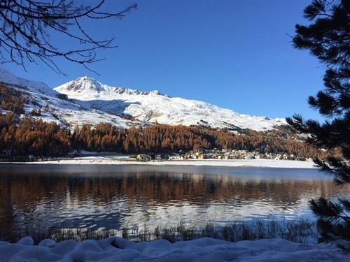 Holiday apartment - 2 persons -  - Arvins - 7522 - La Punt Chamues-Ch