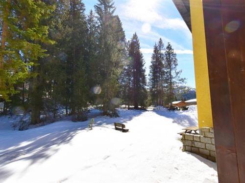 Holiday Home/Apartment - 8 persons -  - 38086 - Madonna Di Campiglio