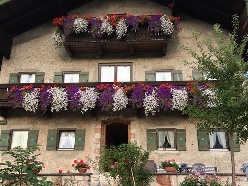 Ferieleilighet - 2 personer -  - Burgstraße - 83250 - Marquartstein