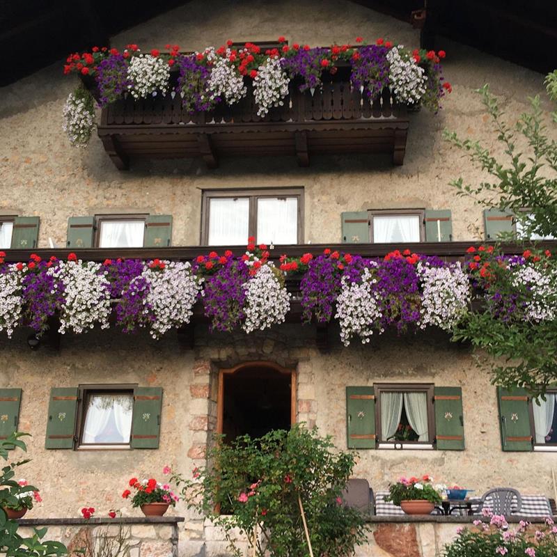 Ferielejlighed - 2 personer -  - Burgstraße - 83250 - Marquartstein