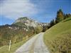 Bilde 105