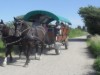 Billede 19