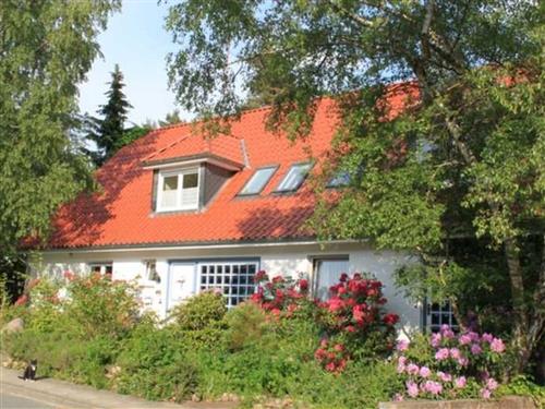 Ferienhaus - 4 Personen -  - Amselstieg - 29549 - Bad Bevensen