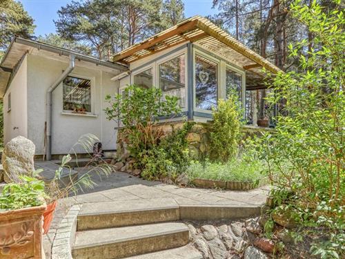 Ferienhaus - 4 Personen -  - Am Braminberg - 16837 - Rheinsberg Ot Kagar