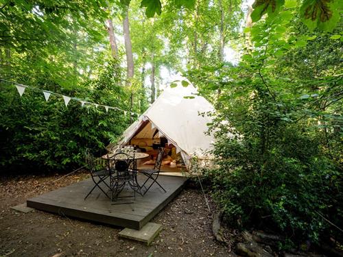 Chalet - 6 persons -  - RG20 9XR - Woolton Hill