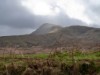 Afbeelding 36