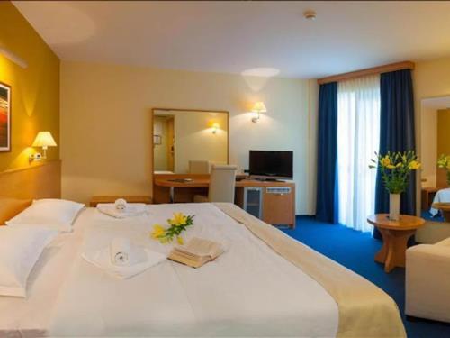 Ferieleilighet - 2 personer -  - 21330 - Gradac