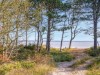 Bild 30 - Område
