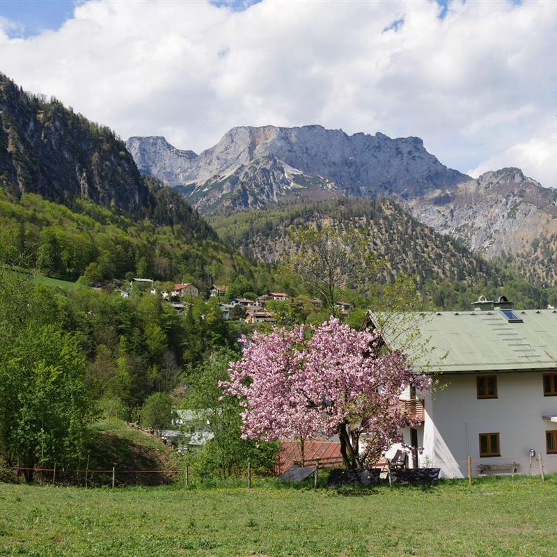 Ferielejlighed - 4 personer -  - Messerergasse - 83487 - Marktschellenberg