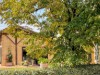 Image 23