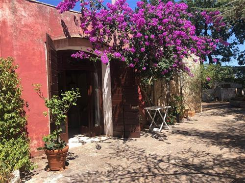 Ferielejlighed - 5 personer -  - Polignano A Mare - 70044