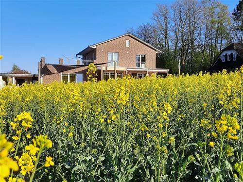 Semesterhus/Semesterlägenhet - 4 personer -  - Silker Weg - 21465 - Reinbek