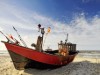 Billede 38