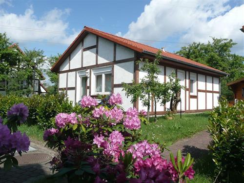 Sommerhus - 5 personer -  - Feriendorf Altes Land - 21723 - Hollern-Twielenfleth