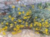 Image 52 - Outside