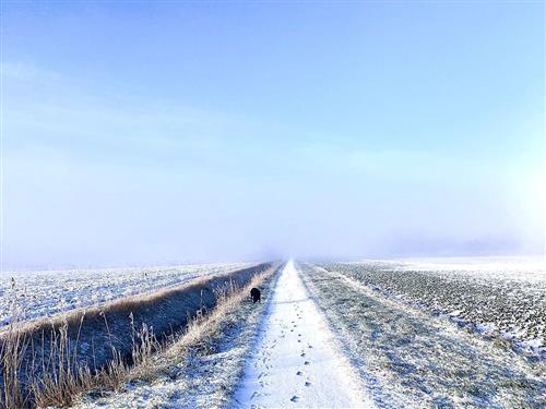 Bondegård - 2 personer -  - Evensbüller Chaussee - 25845 - Nordstrand