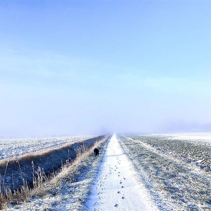 Bondegård - 4 personer -  - Evensbüller Chaussee - 25845 - Nordstrand