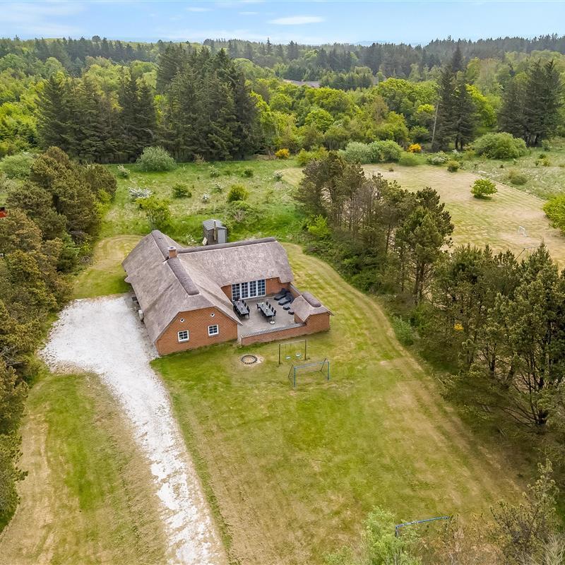 Ferienhaus - 18 Personen -  - Svollingvej - Husby - 6990 - Ulfborg