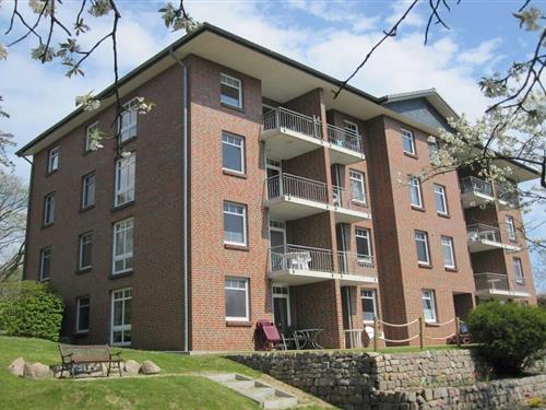 Feriehus - 5 personer -  - 17454 - Zinnowitz