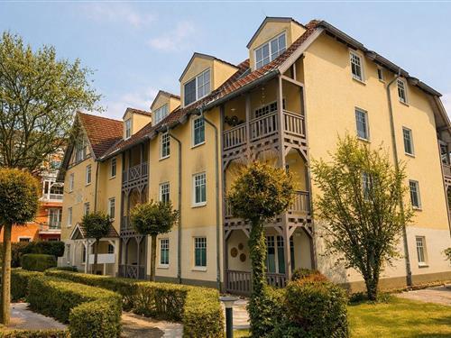 Semesterlägenhet - 3 personer -  - Ostseeallee - 18225 - Kühlungsborn (West)