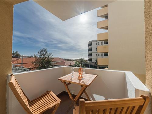 Sommerhus - 4 personer -  - Rua Elias Garcia, Nº 27 A, Bloco B2-1º Esquerdo - 9050-067 - Funchal