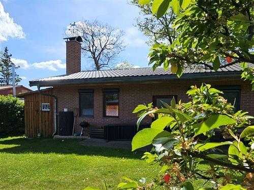 Feriehus - 4 personer -  - Erlengrund - 17166 - Dahmen