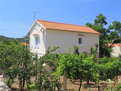 Ferielejlighed - 3 personer -  - Ulica III. - 23281 - Sali