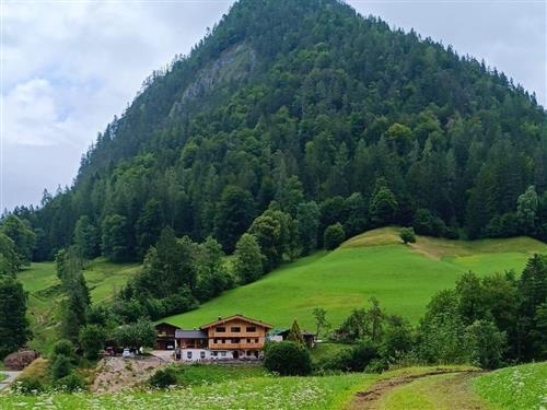 Bondegård - 4 personer -  - Au - 5090 - Lofer