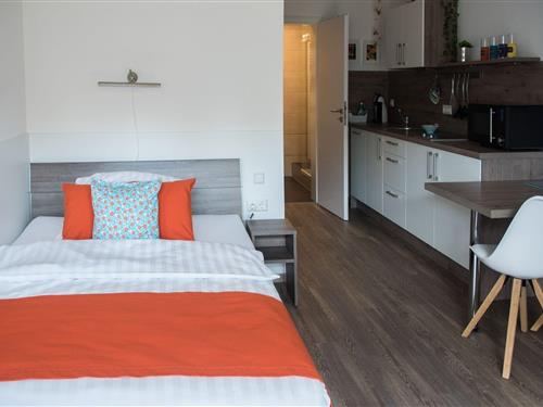 Ferielejlighed - 2 personer -  - Entengasse - 97999 - Igersheim