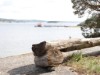 Bild 16 - Ude