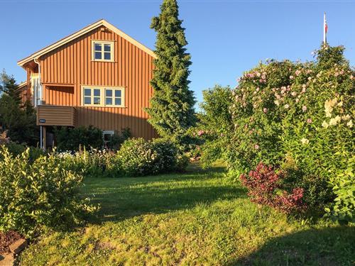 Sommerhus - 9 personer -  - Åkvågveien - 4957 - Risør