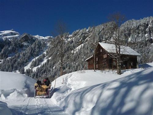 Sommerhus - 10 personer -  - Braunwald - 8784