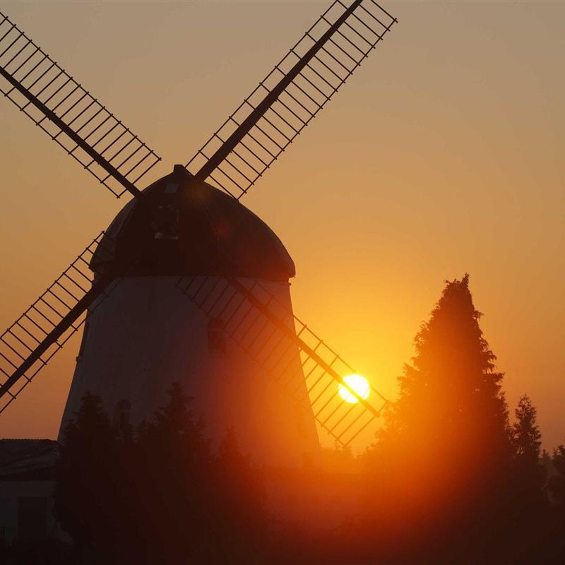 Sommerhus - 10 personer -  - Windmühle - 29378 - Wittingen