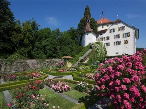 Sommerhus - 6 personer -  - Schloss Heidegg - 6284 - Gelfingen