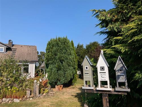 Holiday apartment - 3 persons -  - Eisenacher Straße - 35088 - Battenberg (Eder)