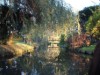 Bild 18