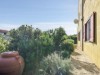 Billede 14
