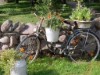 Bild 14 - Ude