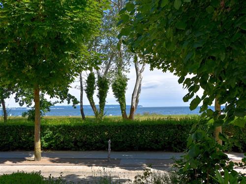 Ferielejlighed - 4 personer -  - Strandpromenade - 18609 - Binz