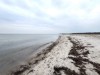 Billede 29 - Område