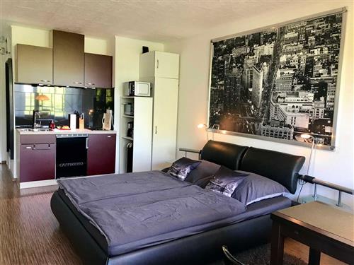 Feriehus / leilighet - 2 personer -  - Diekseepromenade - 23714 - Malente