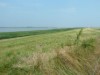 Bild 17
