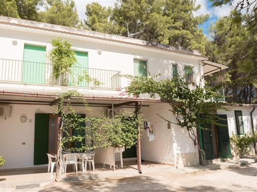 Ferielejlighed - 6 personer -  - 71019 - Vieste (Fg)