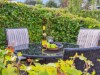 Billede 16 - Terrasse