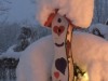 Bild 61